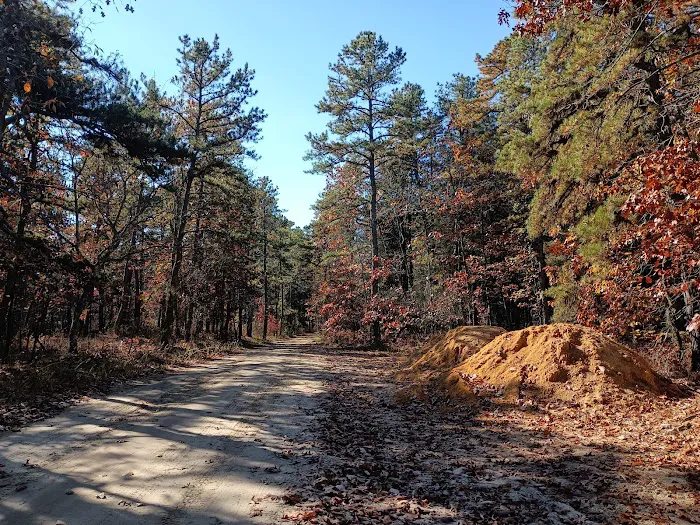 Goshen Pond Camping Area 7