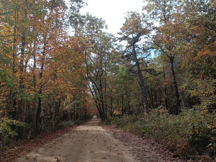 Goshen Pond Camping Area 8