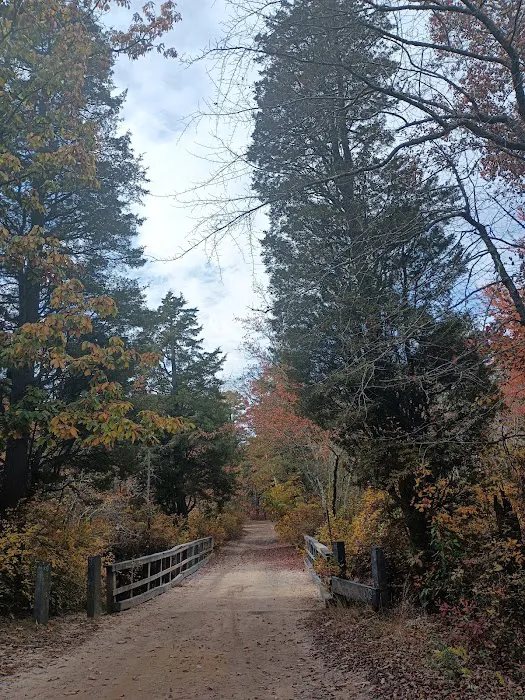 Goshen Pond Camping Area 6