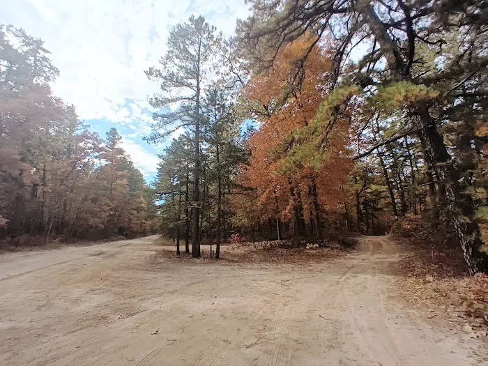 Goshen Pond Camping Area 5