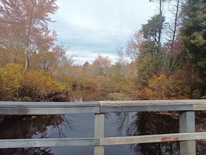 Goshen Pond Camping Area 3