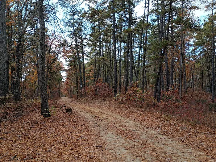 Goshen Pond Camping Area 1