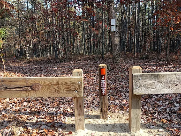 Goshen Pond Camping Area 4