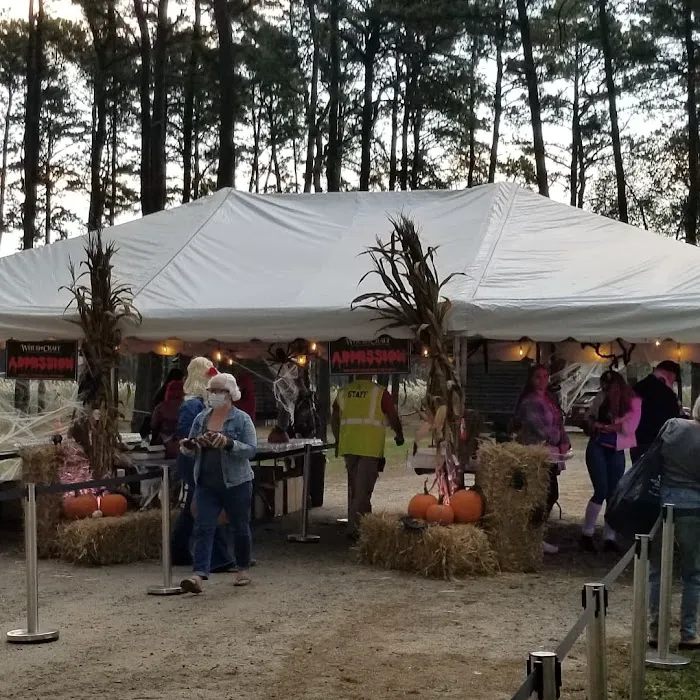 Paradise Lakes Campground 9