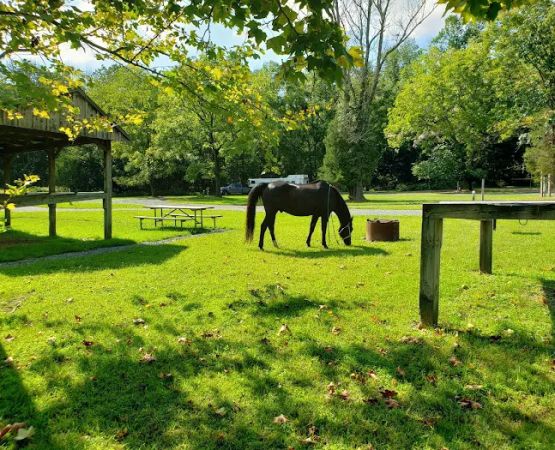 Marino Equestrian Campground