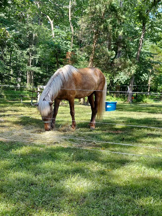 Marino Equestrian Campground 2