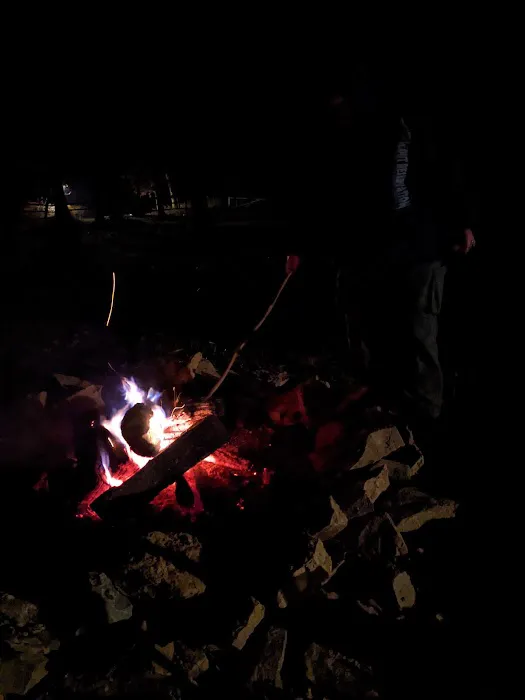 Delmont Scout Reservation 0