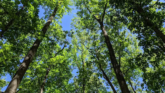 Boulder Woods Campground 2