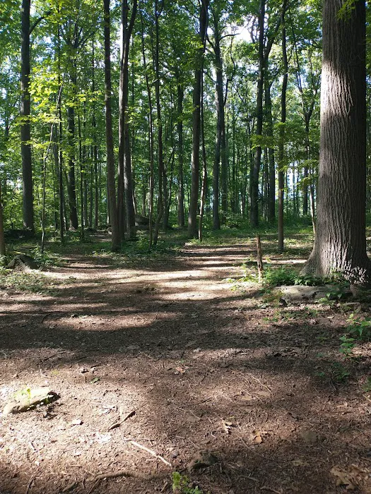 Boulder Woods Campground 1