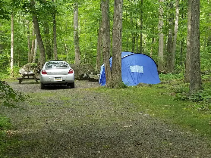Homestead Family Campground 4