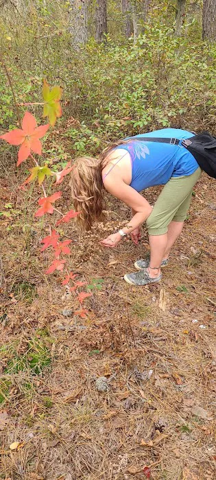 Buttonwood Hill Campsite 7