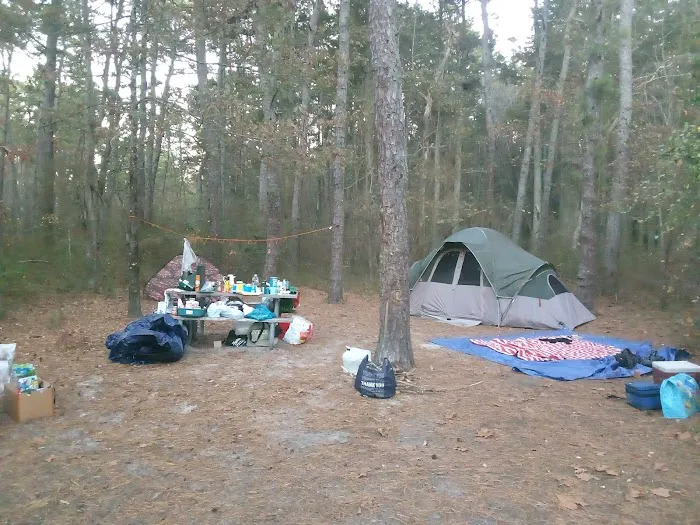 Buttonwood Hill Campsite 6