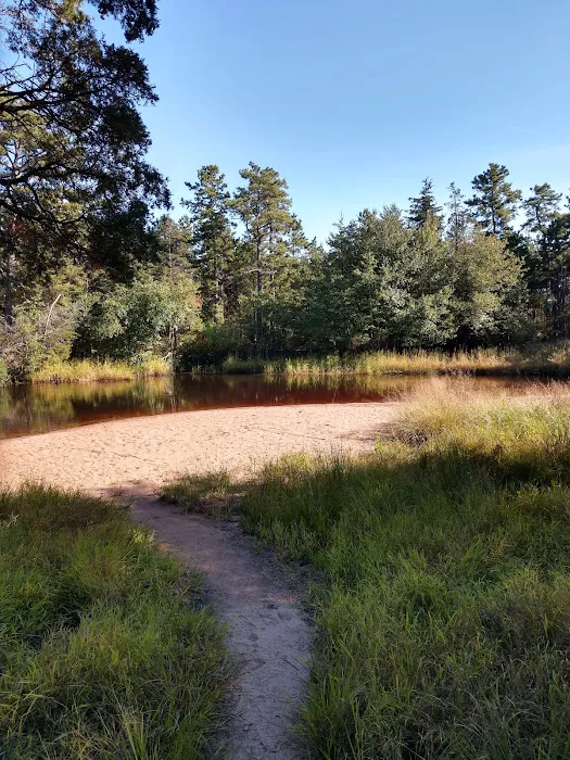 Godfrey Bridge Campground 6