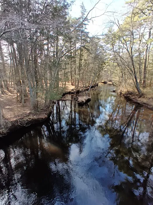 Godfrey Bridge Campground 1