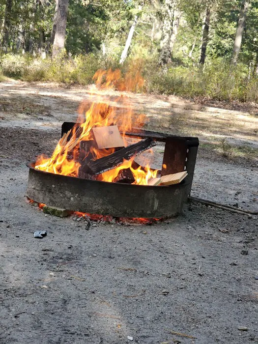 Godfrey Bridge Campground 5
