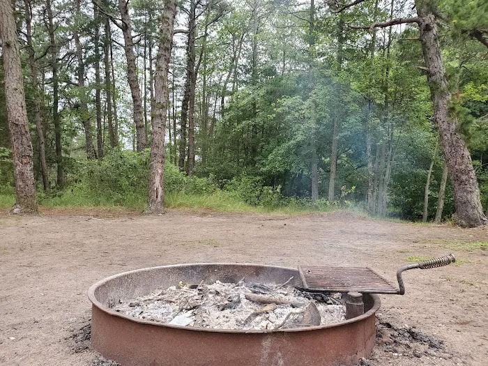 Bodine Field Campground 8