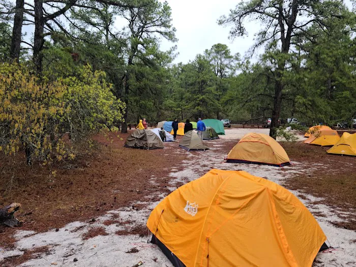 Bodine Field Campground 1