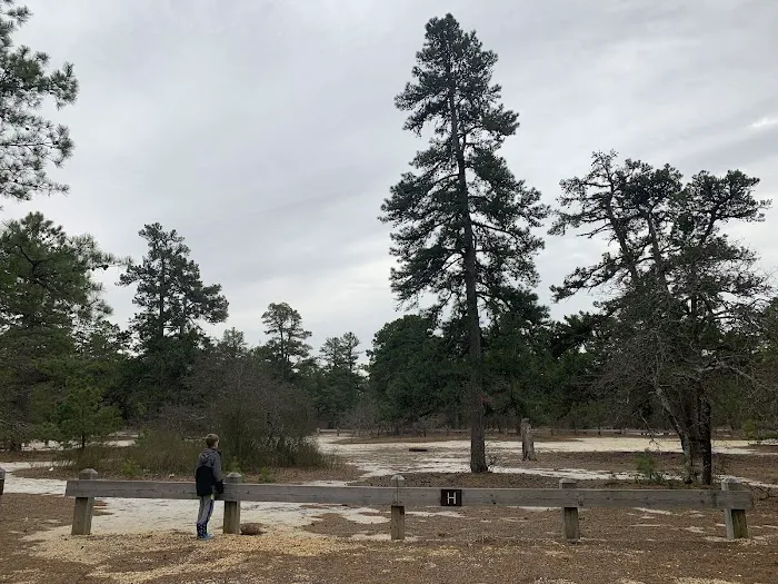 Bodine Field Campground 4