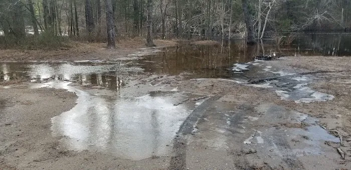 Bodine Field Campground 0