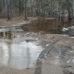 Bodine Field Campground