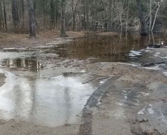 Bodine Field Campground