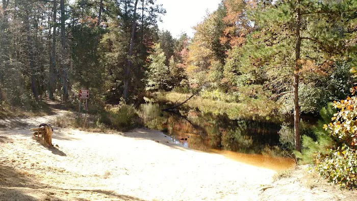 Bodine Field Campground 3
