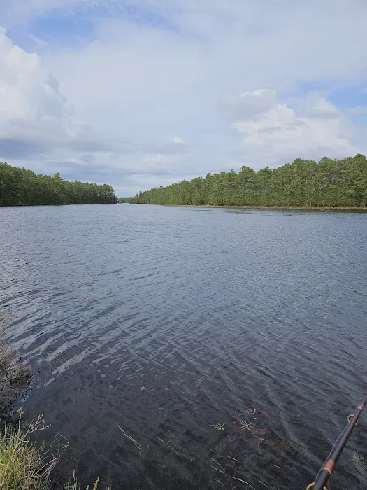 Bodine Field Campground 2