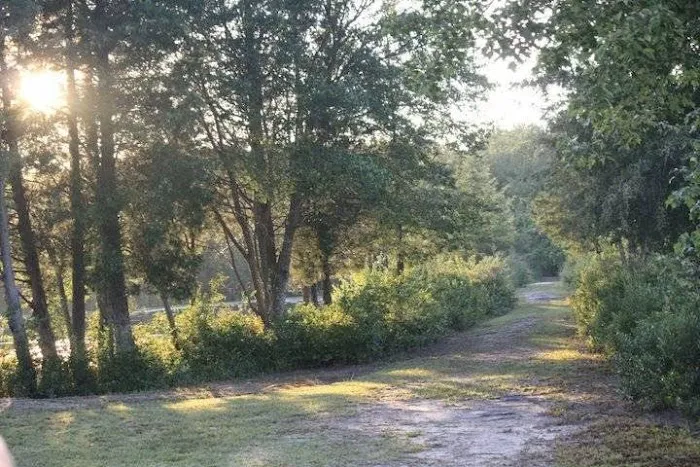 Timberline Lake Camping Resort 8