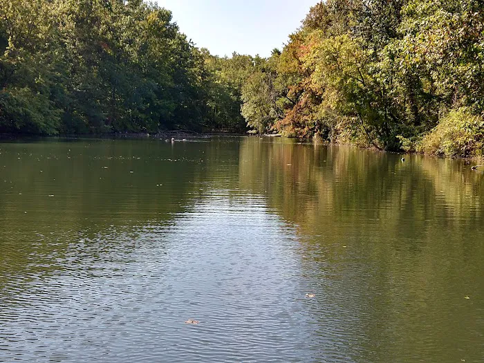 College Settlement Camps-Headwaters Of Pennypack Creek 6