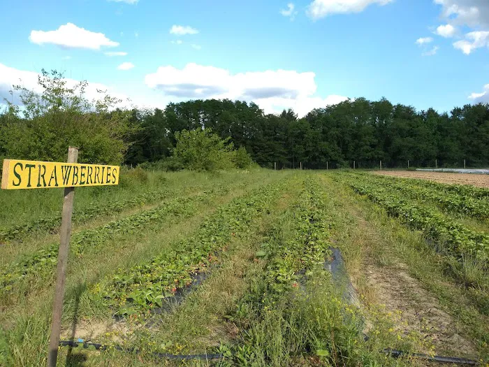 College Settlement Camps-Headwaters Of Pennypack Creek 2