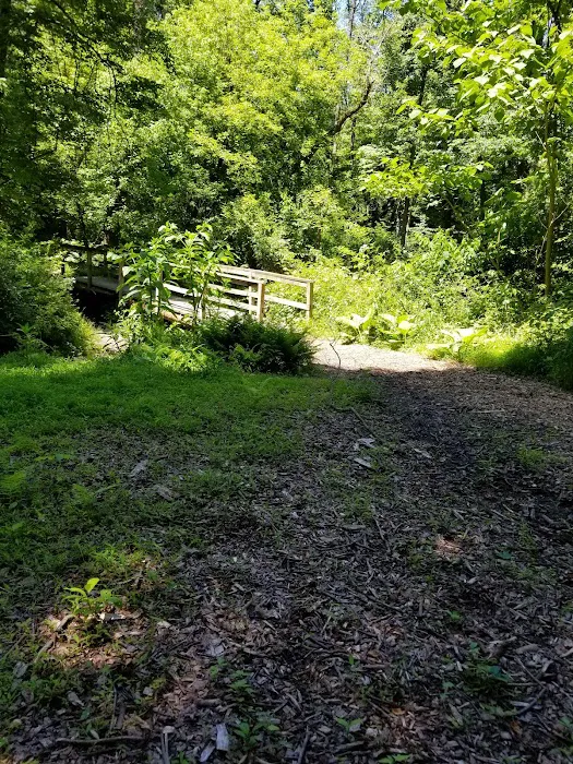 College Settlement Camps-Headwaters Of Pennypack Creek 9