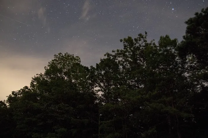 Bellplain State Forest Astronomy 1