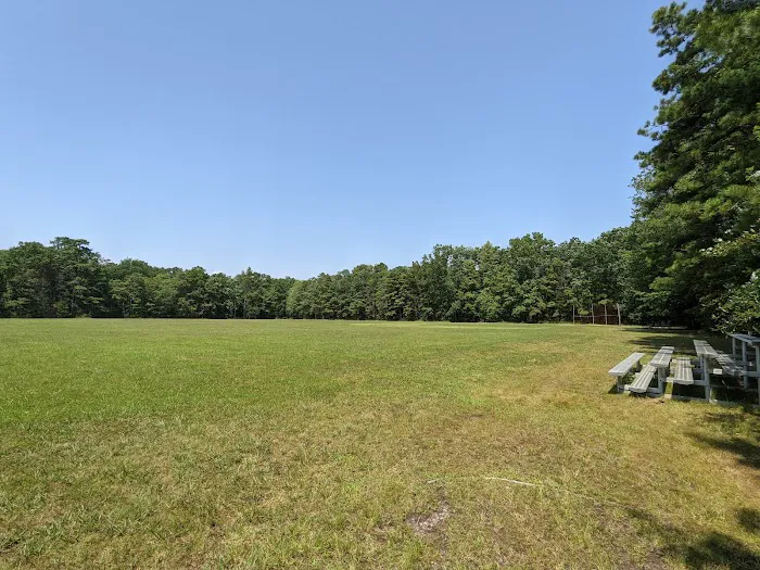 Bellplain State Forest Astronomy 2