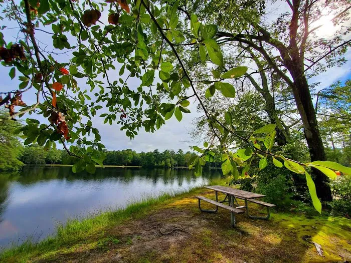 Lake Nummy 7