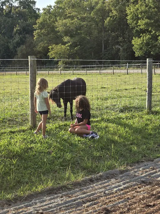 Hip Camp At Bellview Farm 8
