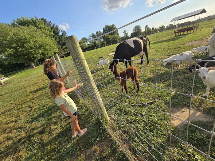 Hip Camp At Bellview Farm 5