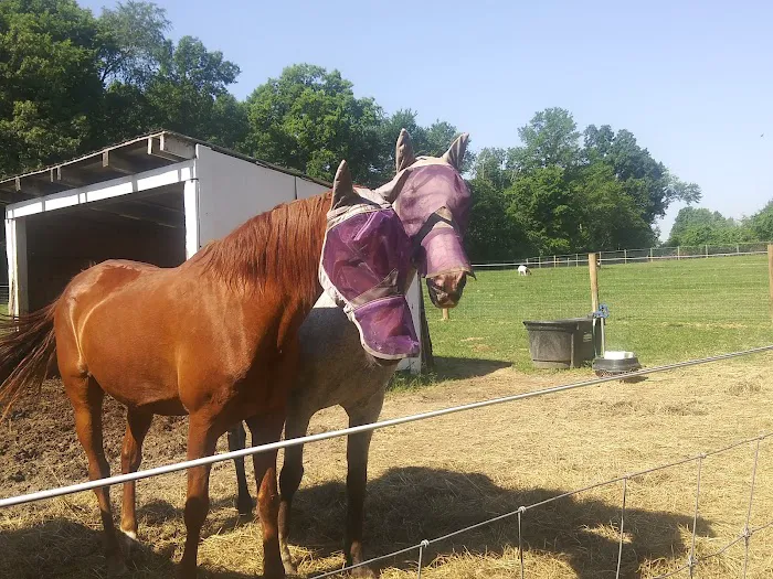Hip Camp At Bellview Farm 2
