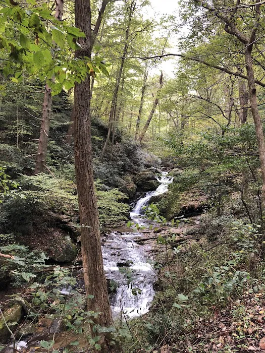 Mill Creek Falls Retreat Center 5