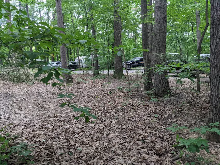 Codorus State Park Campground 5