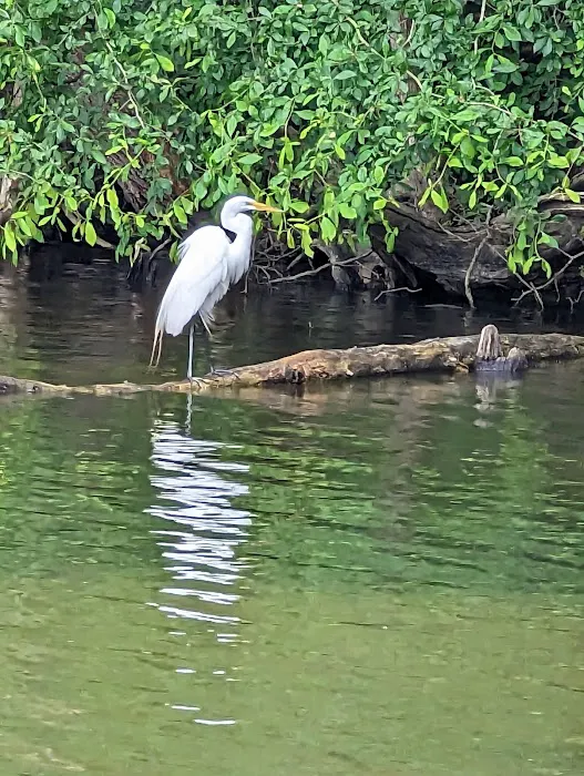 Lums Pond State Park Campground 4