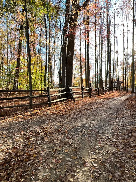 Lums Pond State Park Campground 6