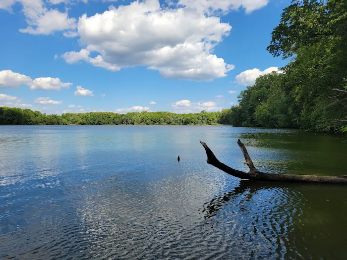 Lums Pond State Park Campground 0