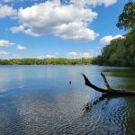 Lums Pond State Park Campground