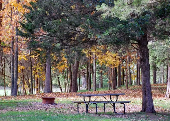 Cedar Lake Campground 4