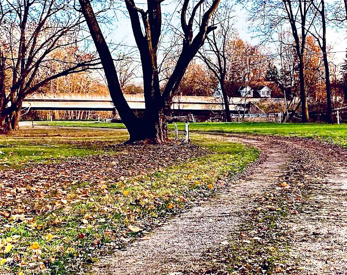 Campground Island 3