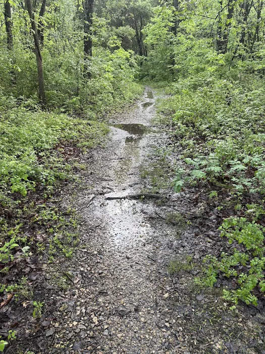 Warrington Township 2