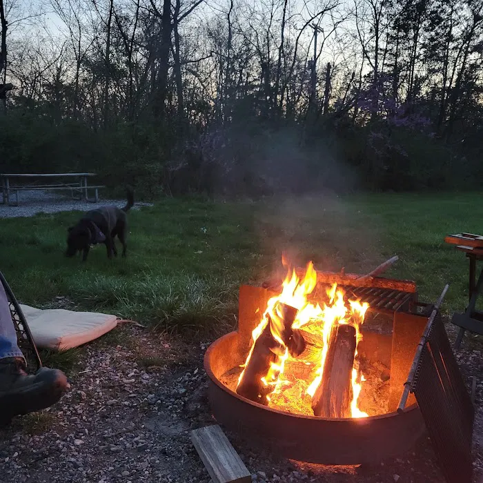 Gifford Pinchot State Park Campground 8