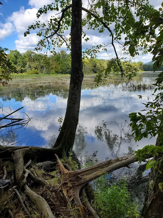 Gifford Pinchot State Park Campground 6