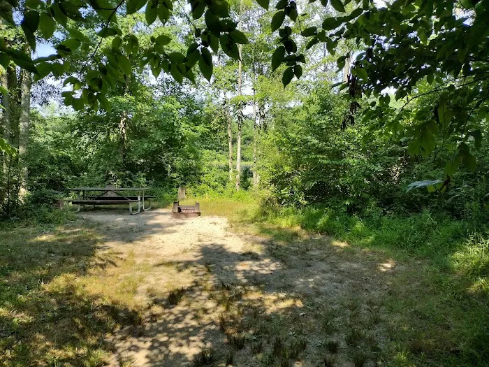Gifford Pinchot State Park Campground 2