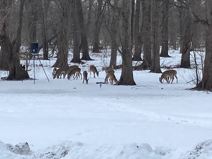Chippewa Valley Campgrounds 1